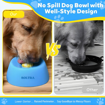 Slow Feeder Dog Bowl