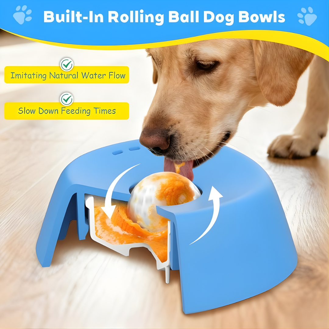 Slow Feeder Dog Bowl