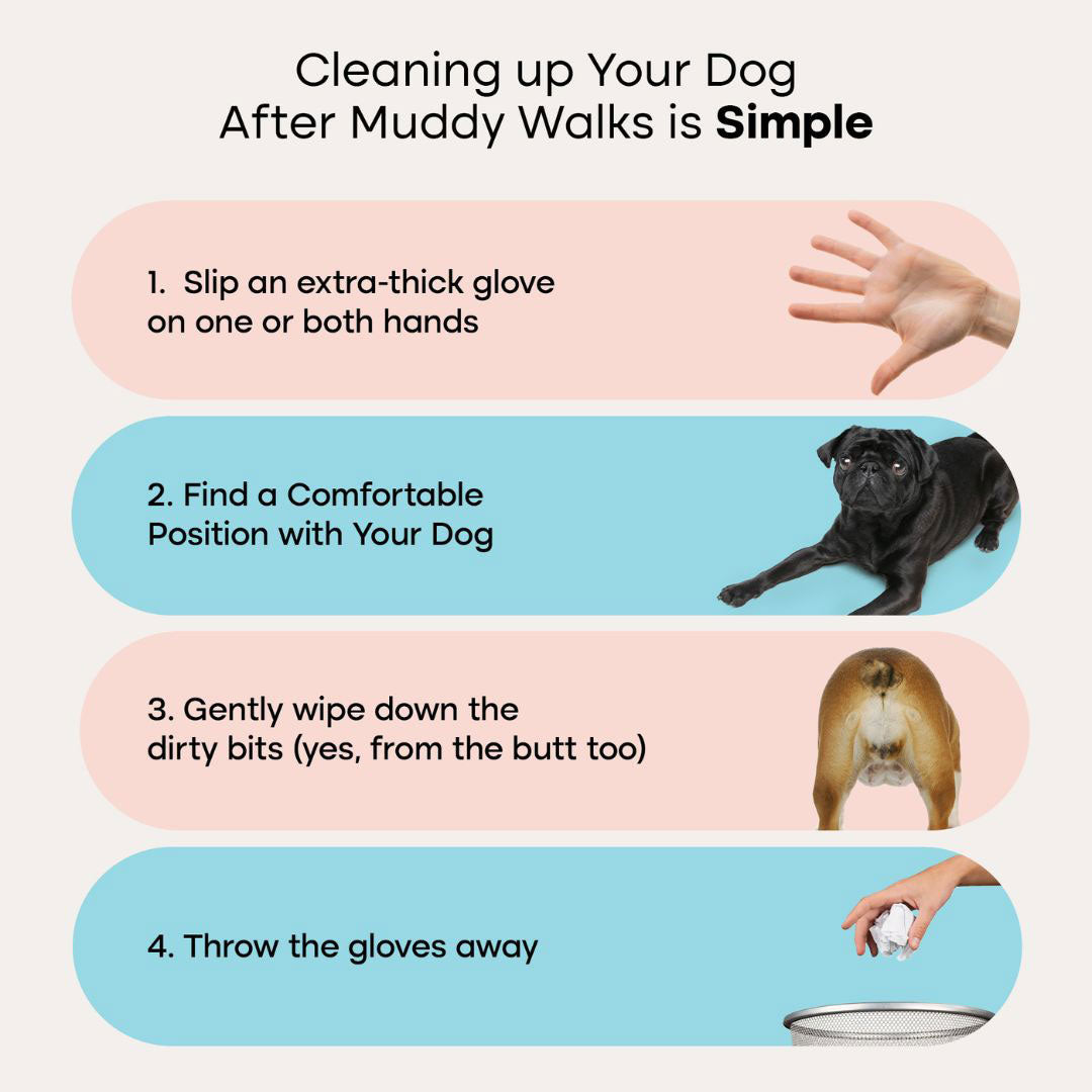 Pet Glove Wipes Pro