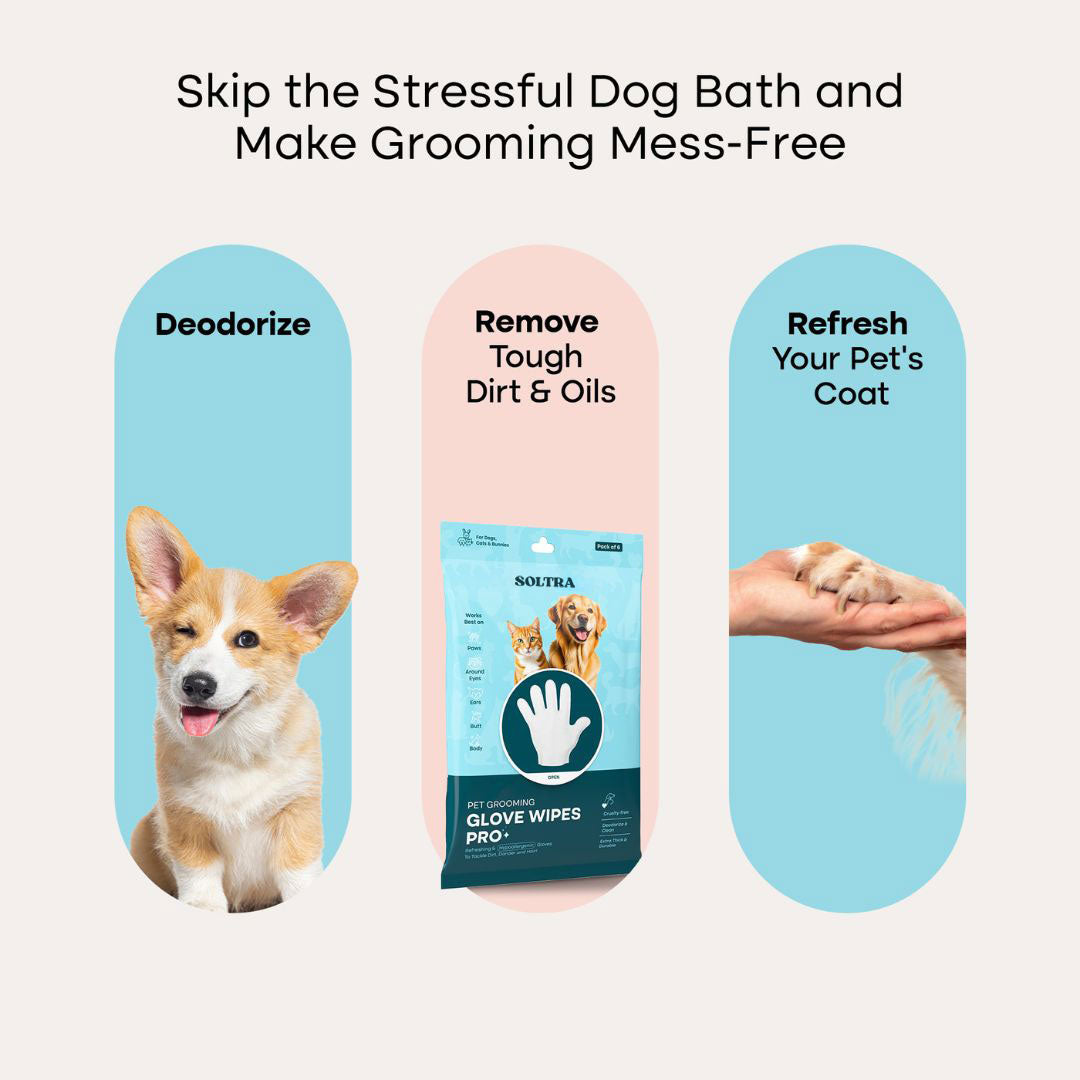 Pet Glove Wipes Pro